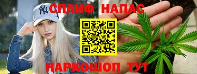 молекула духа Камышлов