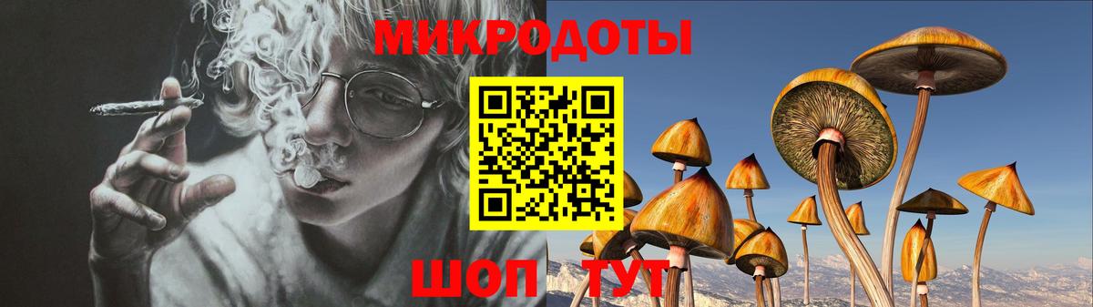 Кондопога  Псилоцибиновые грибы Psilocybine cubensis  Вход с VPN  Галлюциногенные грибы Magic Shrooms 